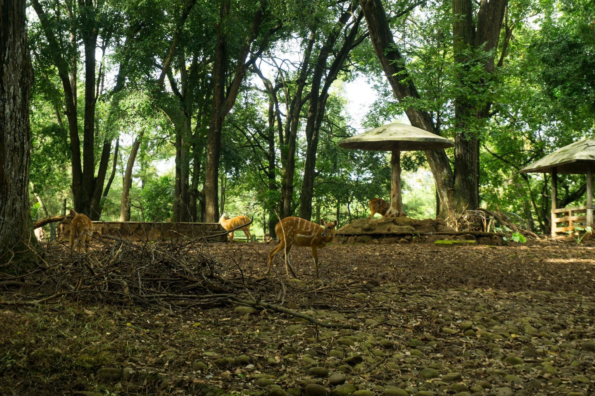 Nice Strategic Studio Kebagusan City By Travelio