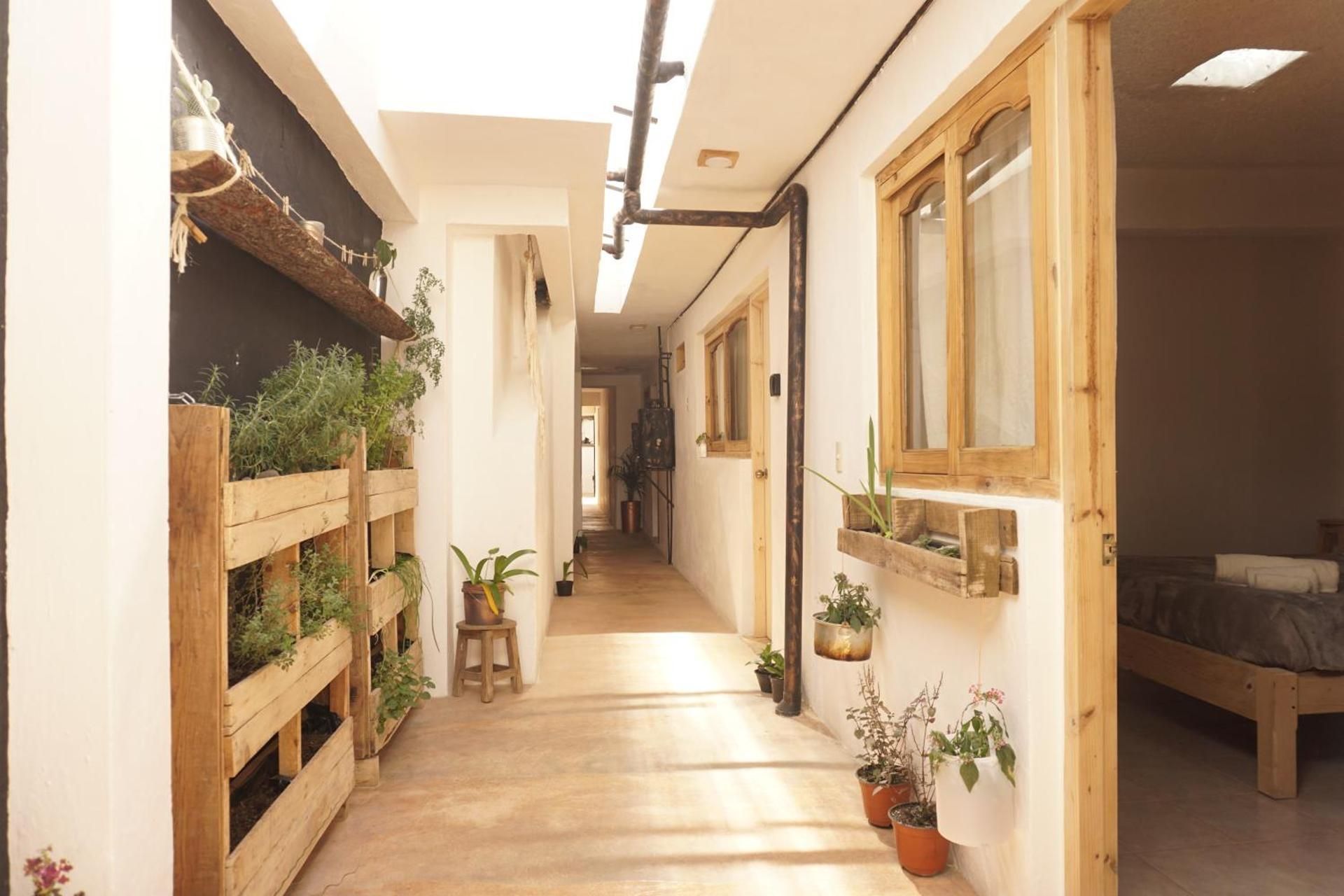 Hostel Boutique 55
