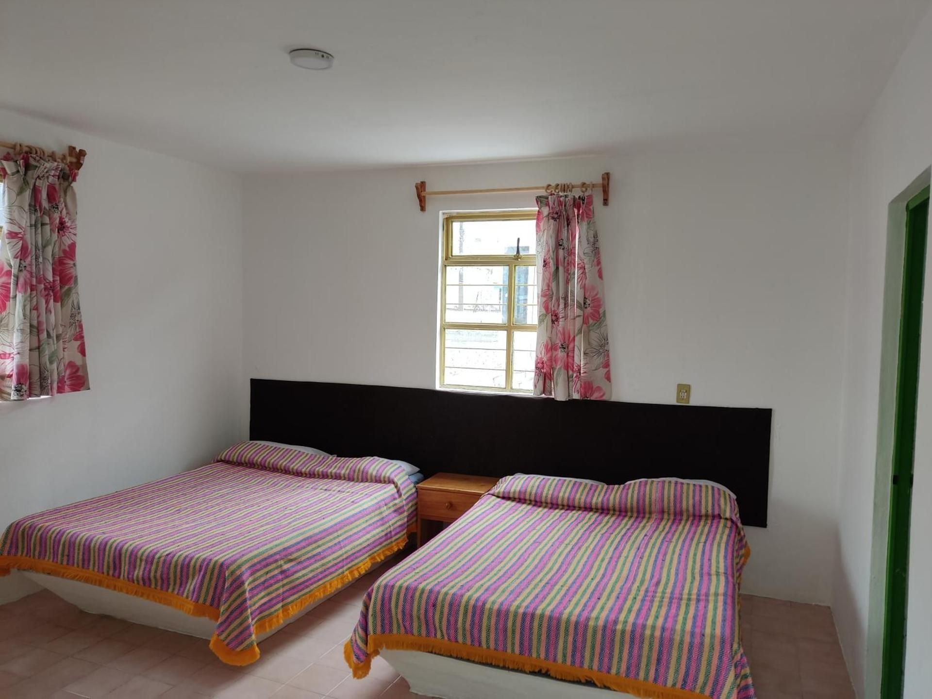 Double Room with Two Double Beds