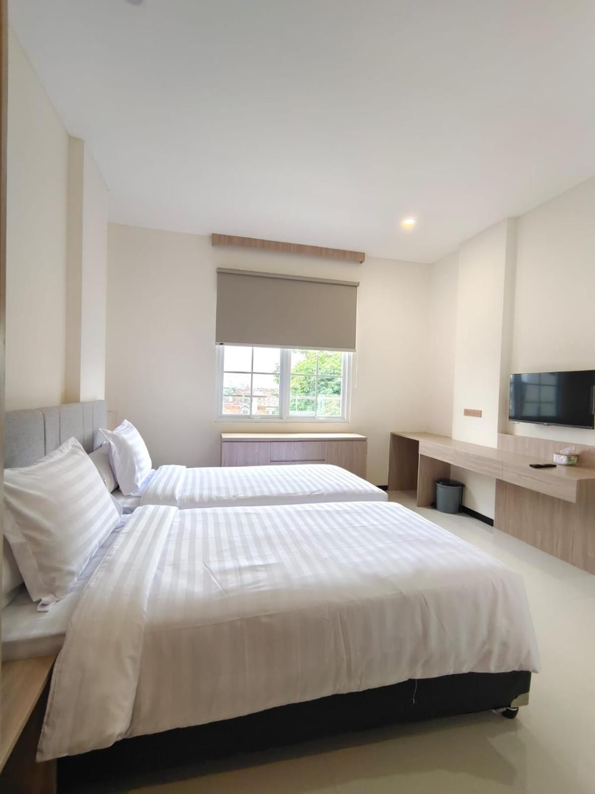 Twin Plus Room
