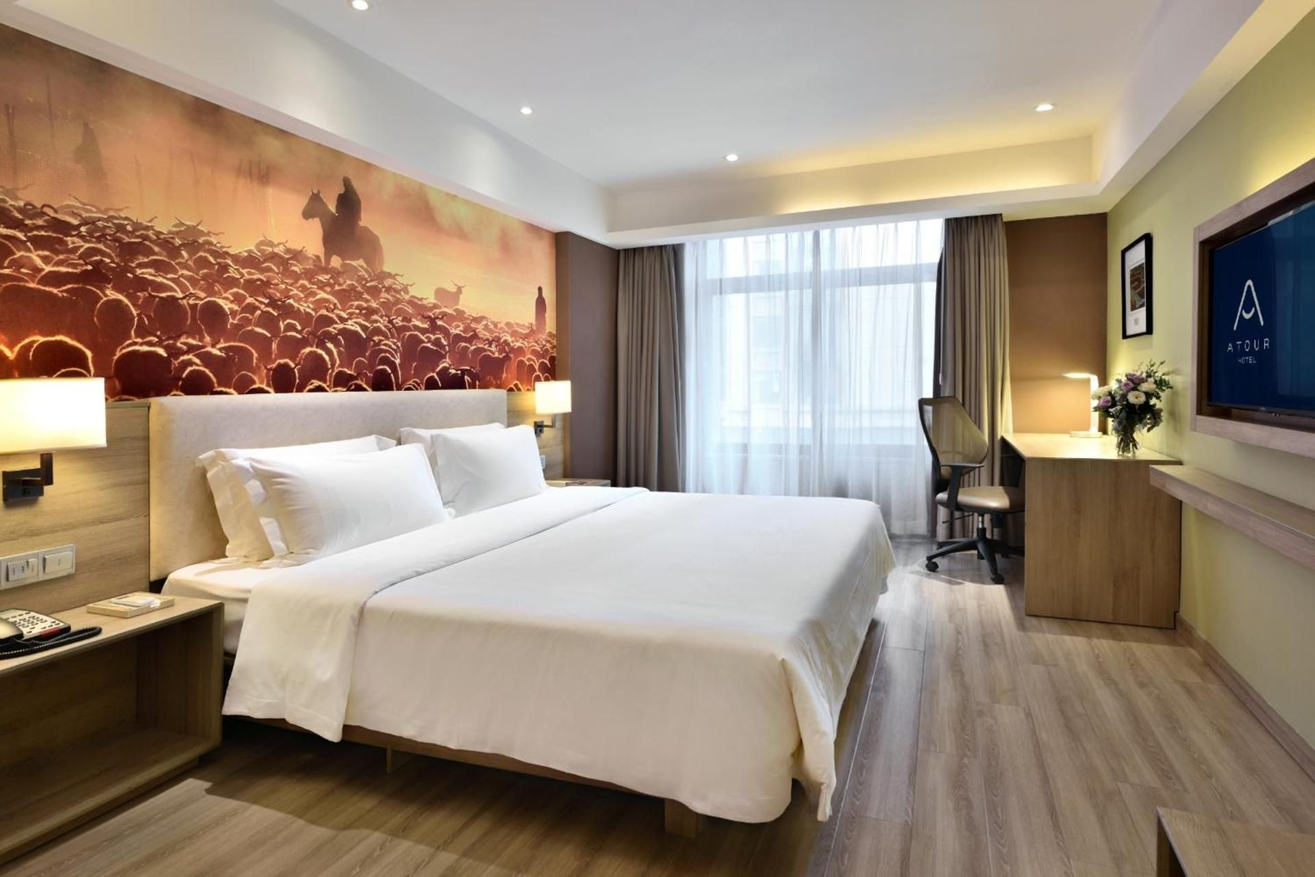 Jimu Suite