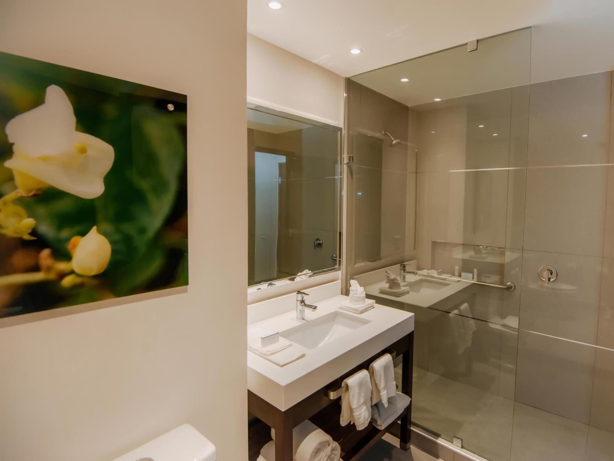 Hilton Garden Inn Puebla Angelópolis 1 King Bed  2