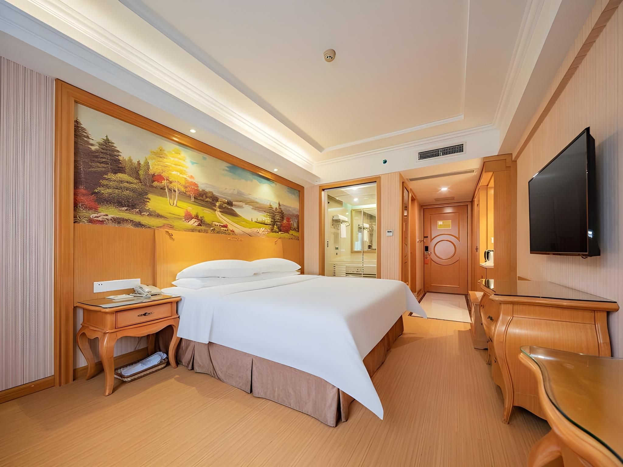 Vienna - Deluxe Room