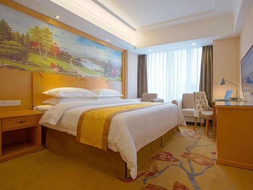 Vienna - Deluxe Room