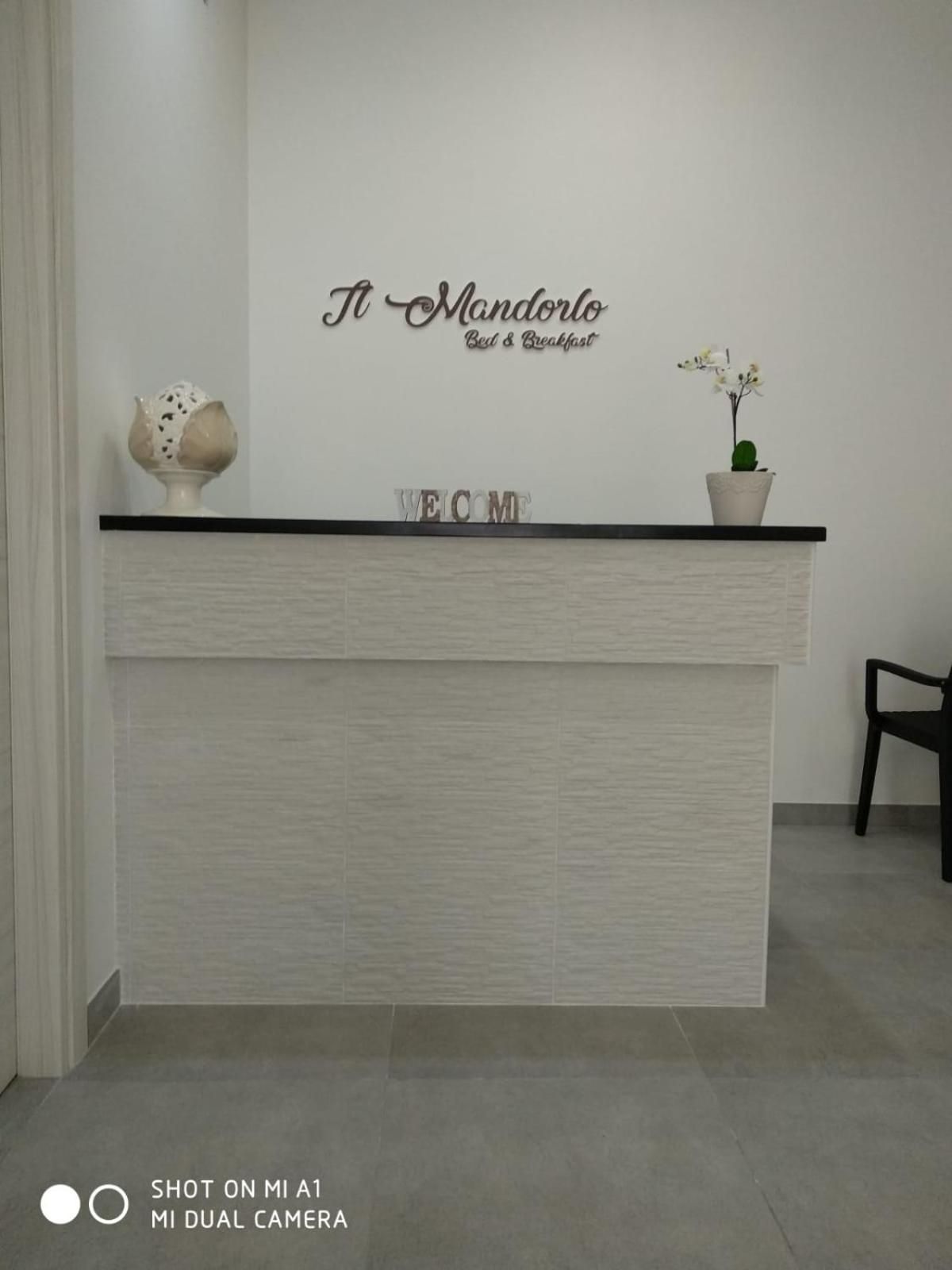 B&B Il mandorlo