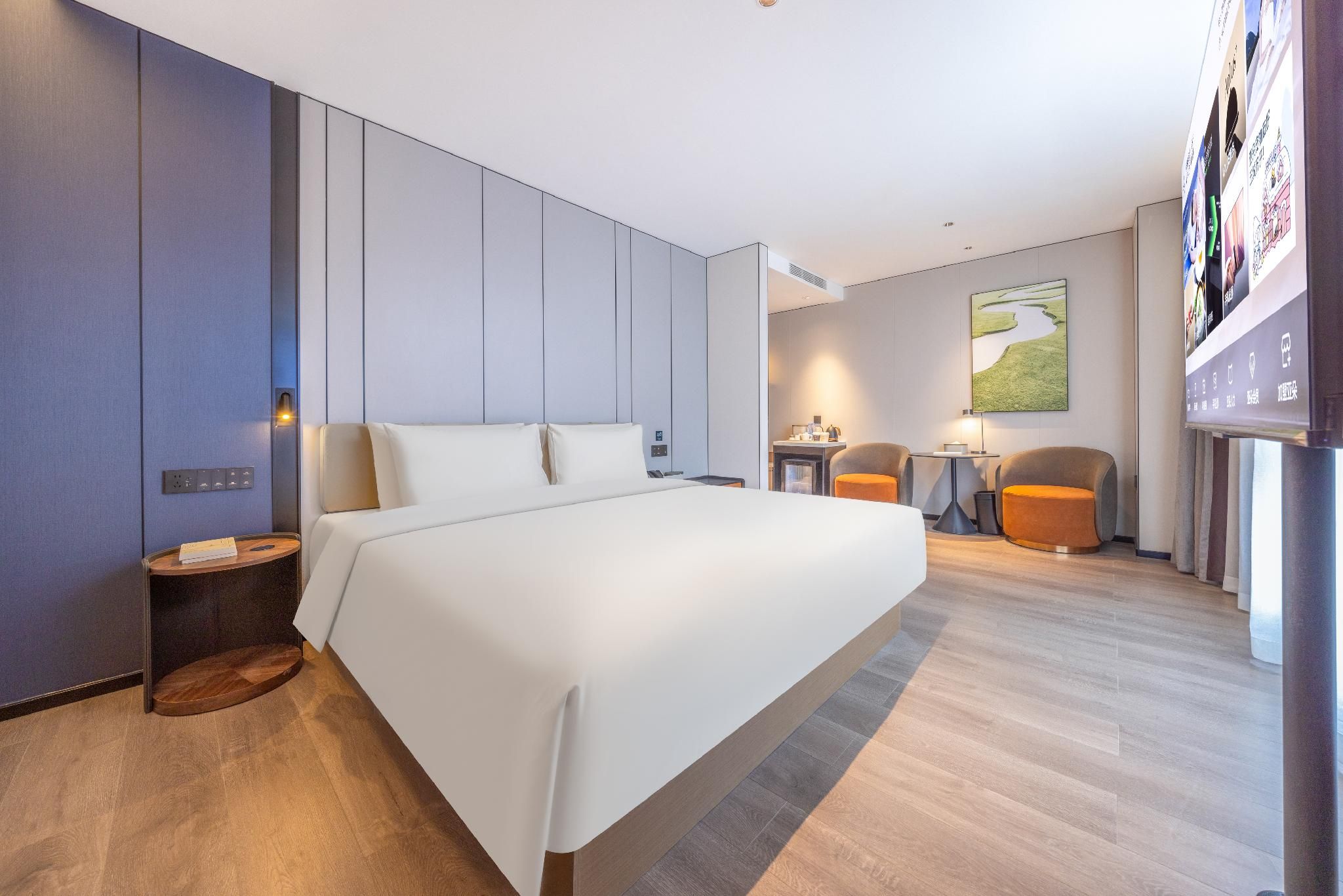 Executive room, Guest room, 1 Queen
