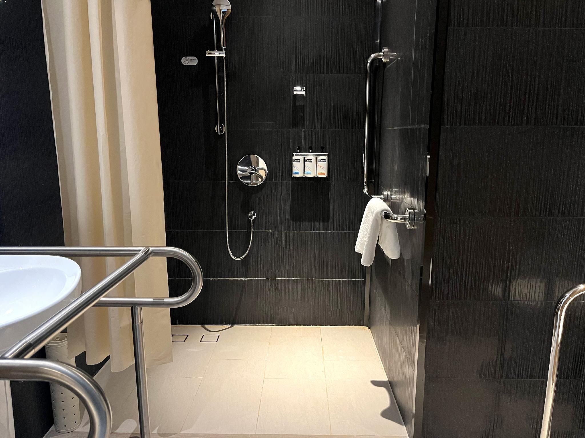 1 King Bed Standard Accessible