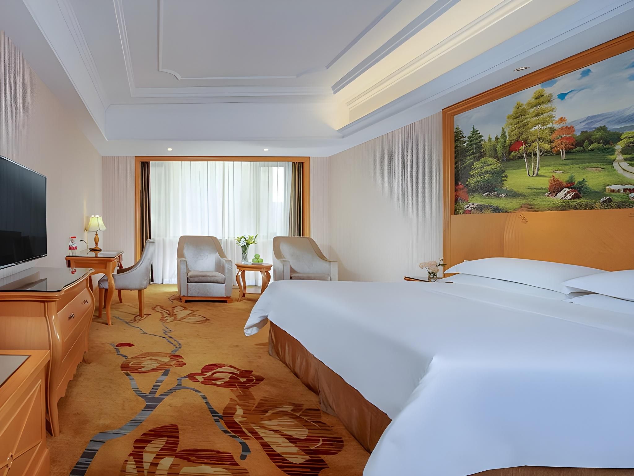 Vienna - Deluxe Room