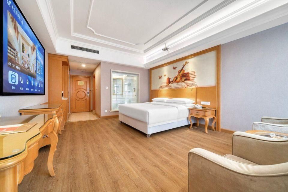 Vienna - Deluxe Room