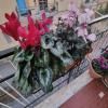 B&B Estia Domus