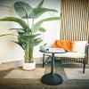 Suite n 5
