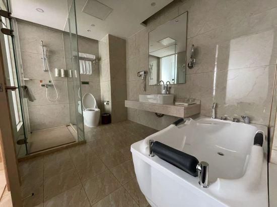 Vienna - Executive Suite