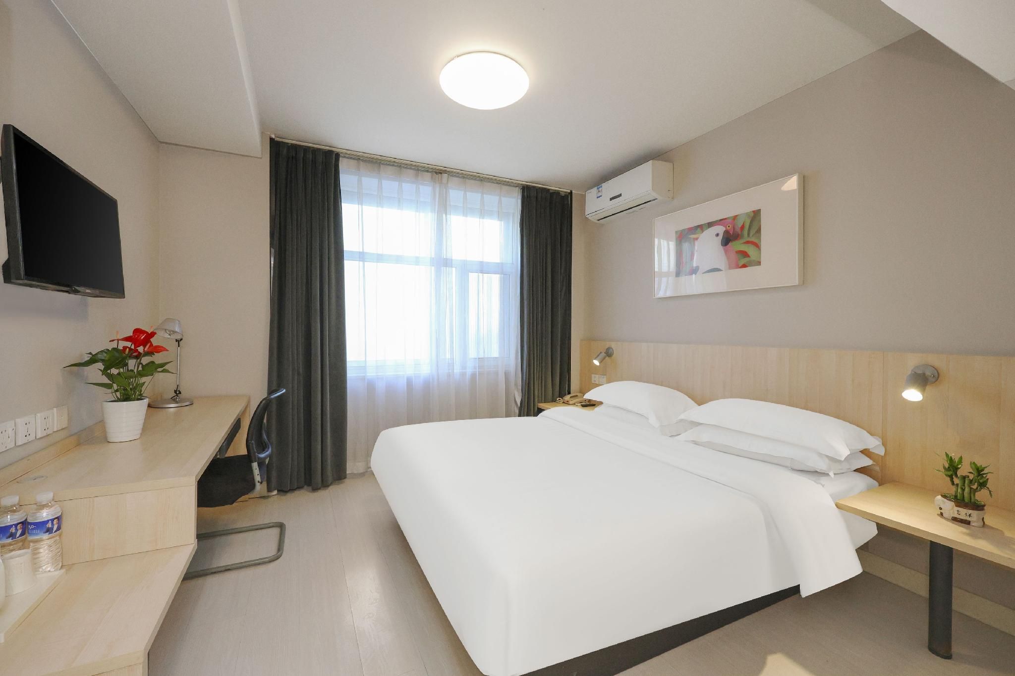 WH - Standard Room