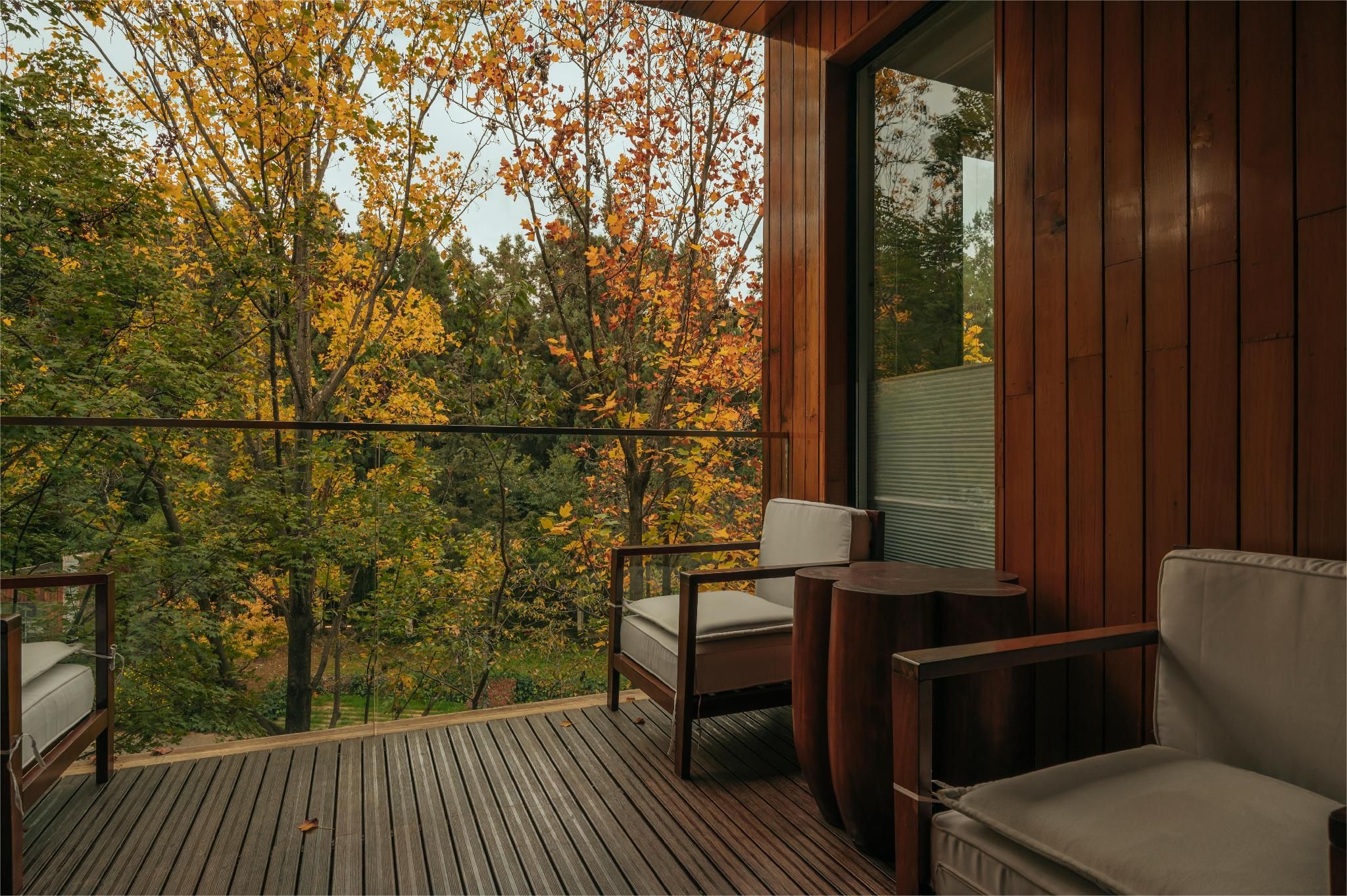 King Studio Suite