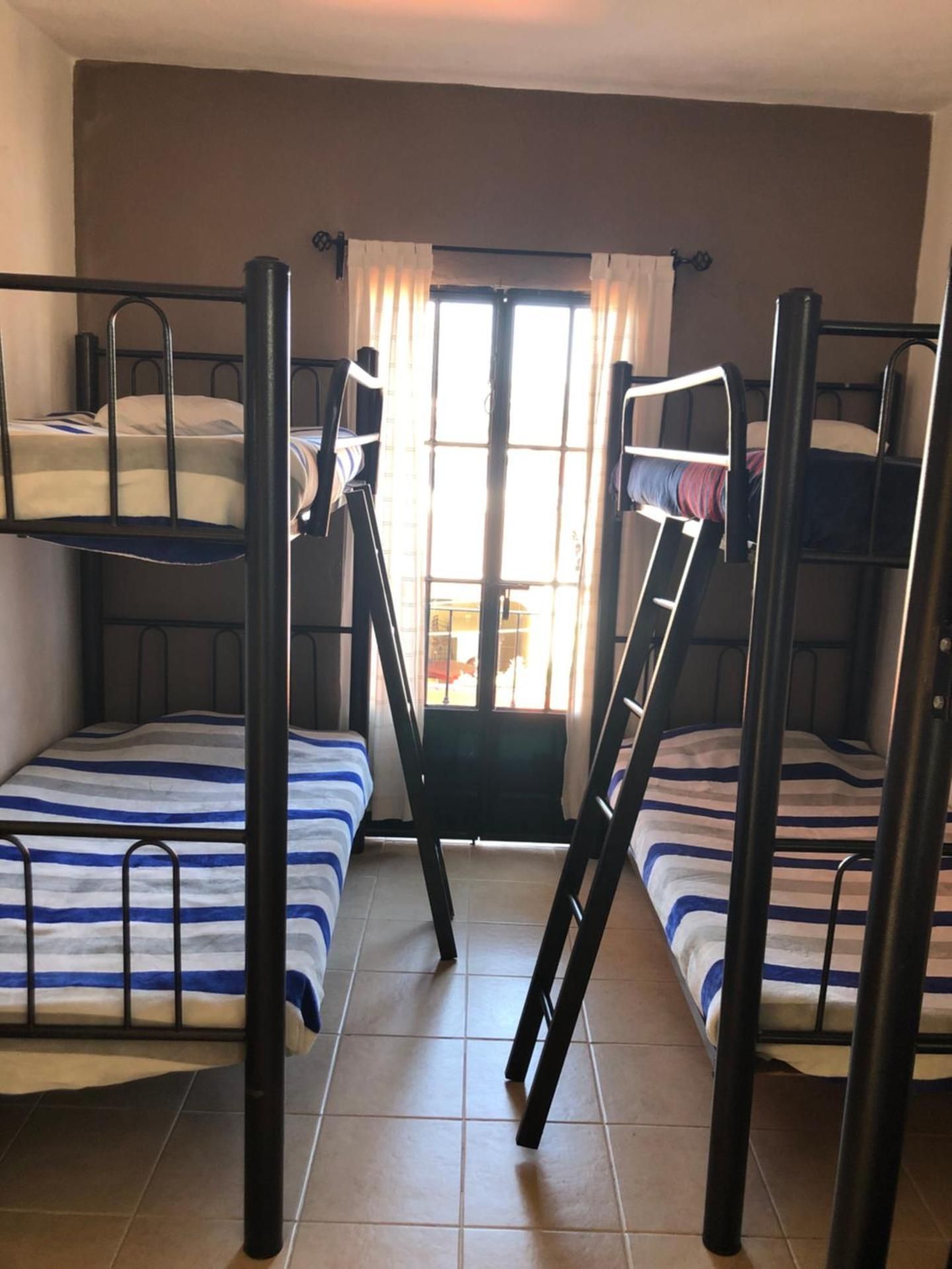 Bed in 6-Bed Mixed Dormitory Room