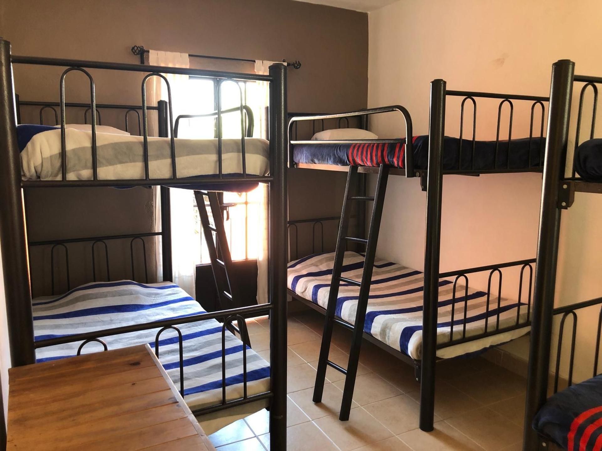 Bed in 6-Bed Mixed Dormitory Room