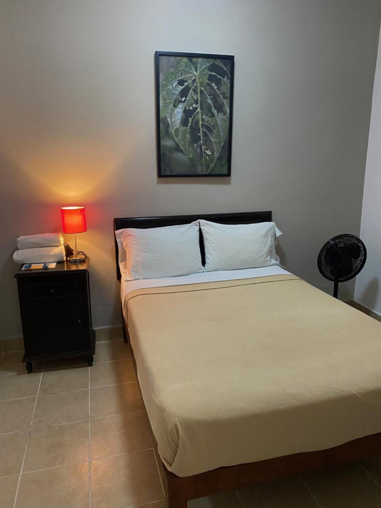 Budget Double Room