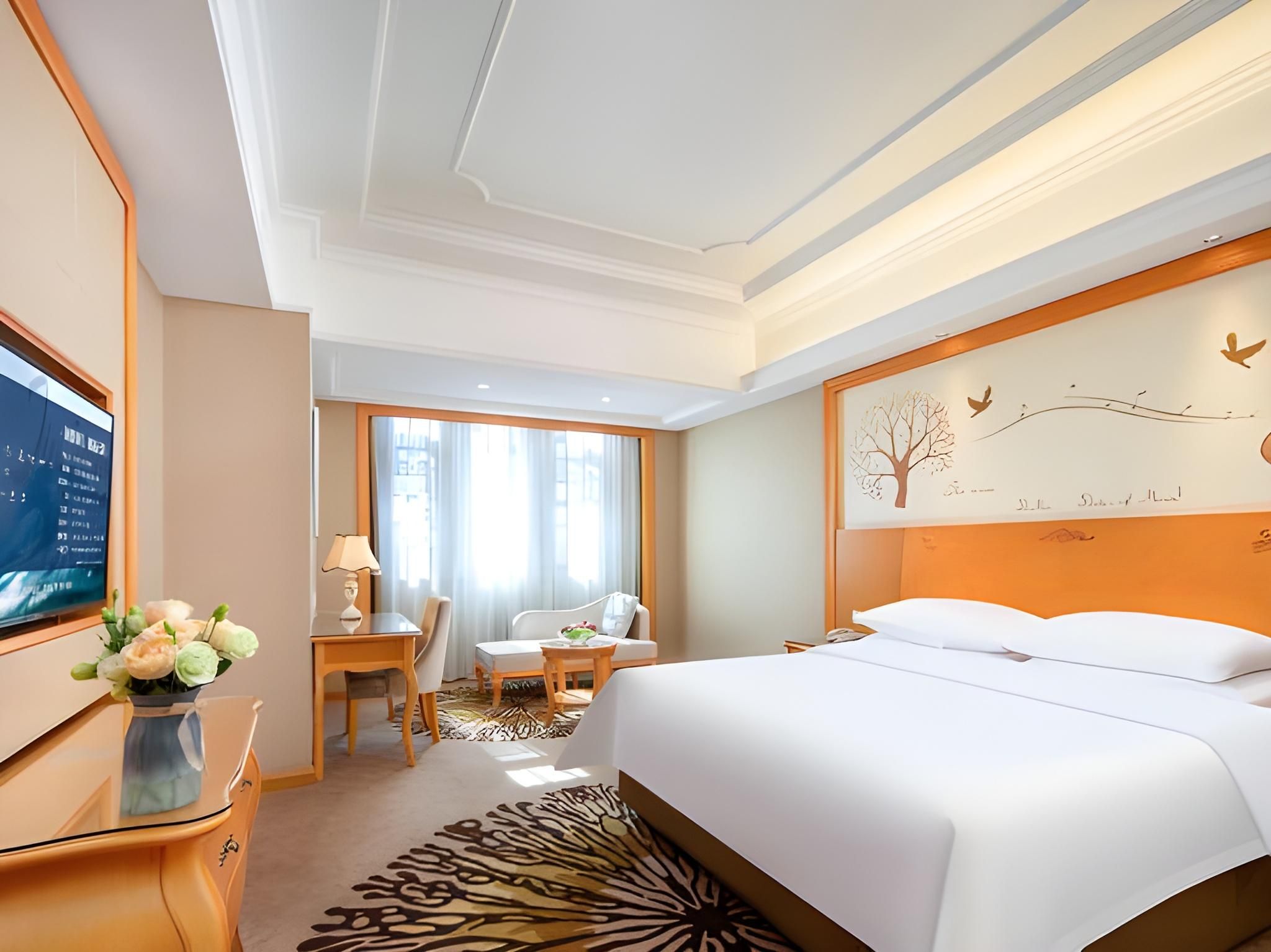 Vienna - Standard 1 Bed Room