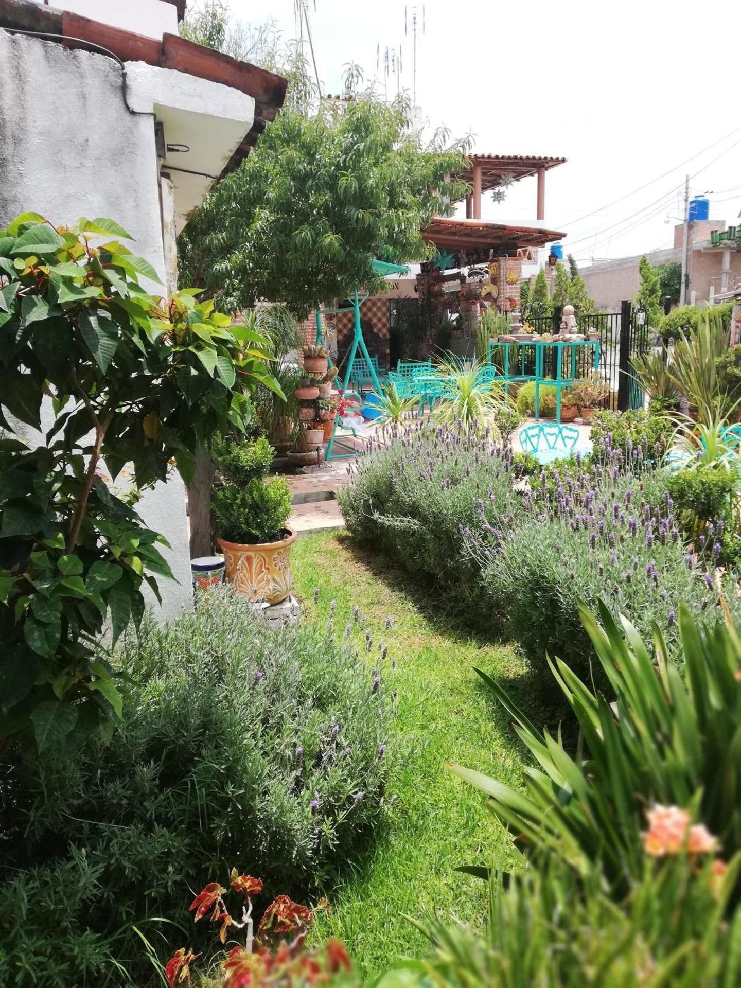 MARGARITA Hotel