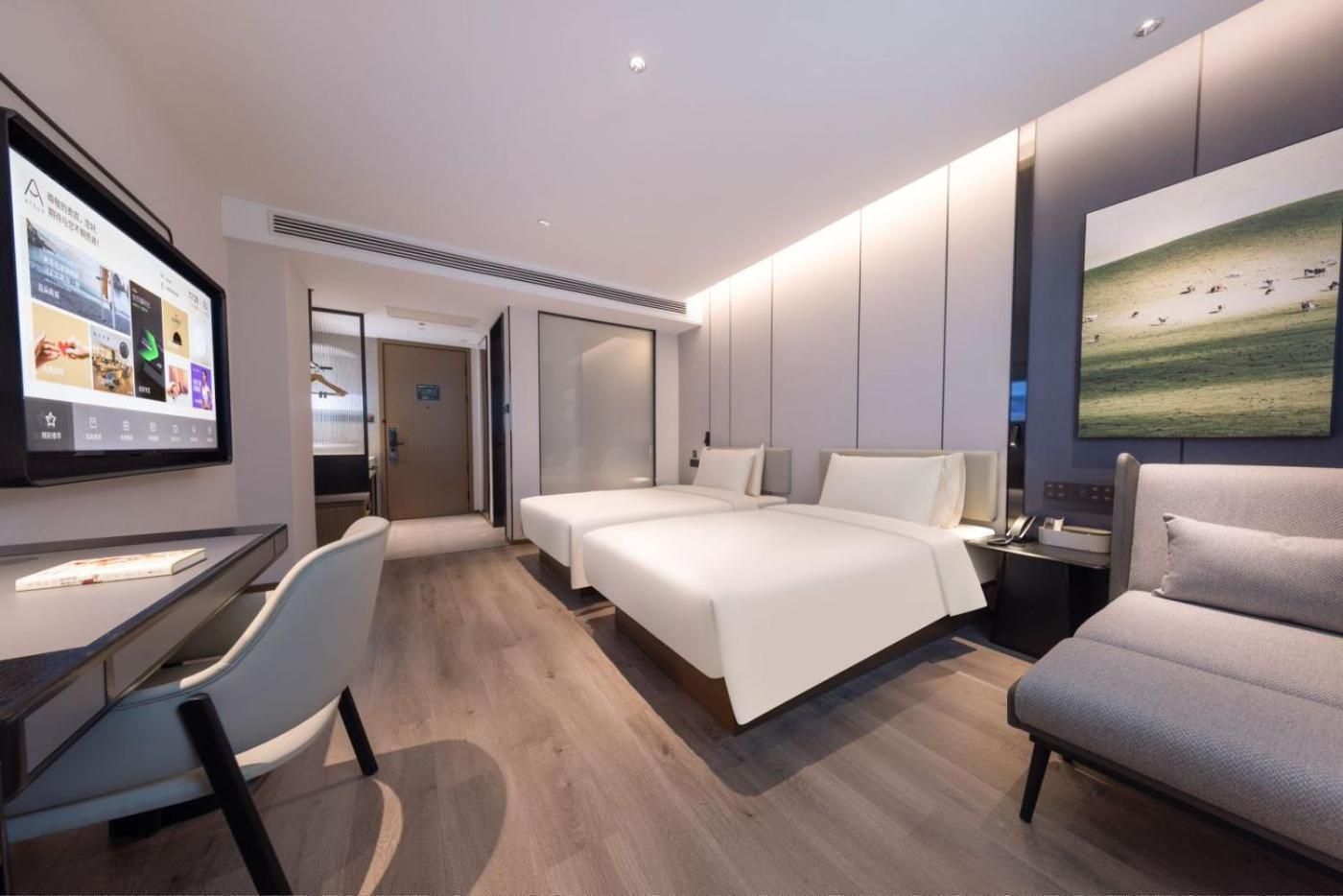 Executive Twin Room