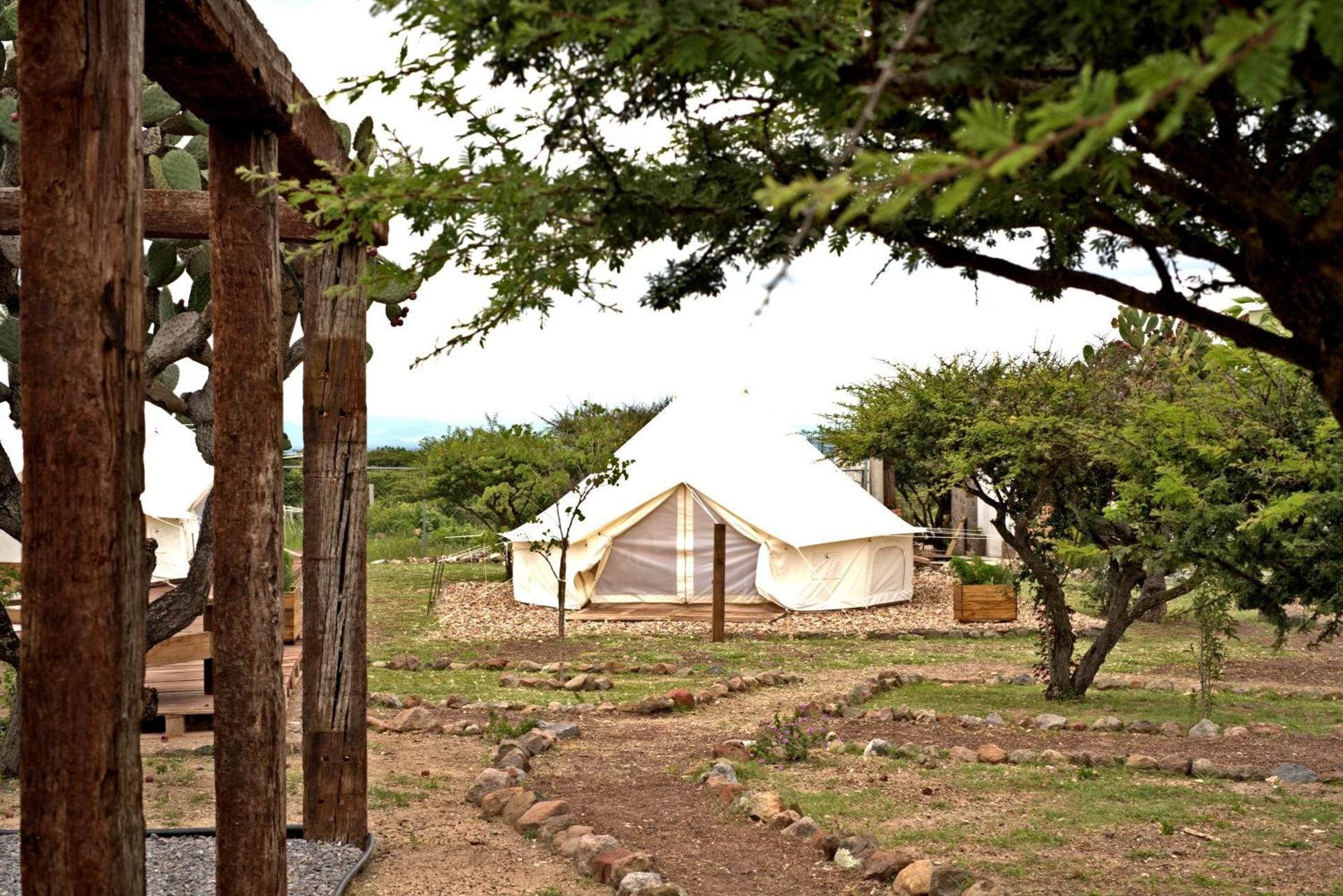 Maka Haui Glamping
