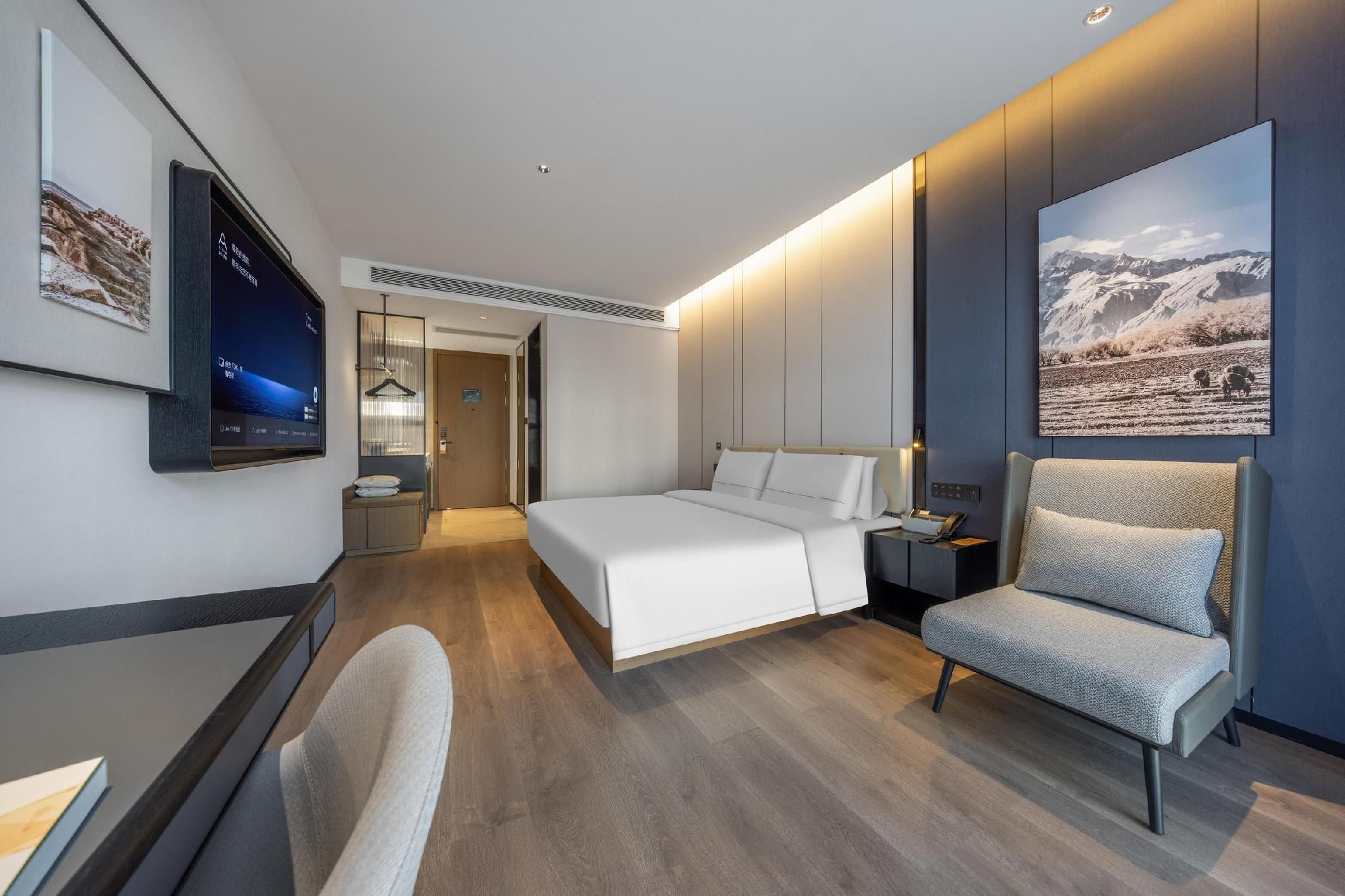 Executive room, Guest room, 1 Queen