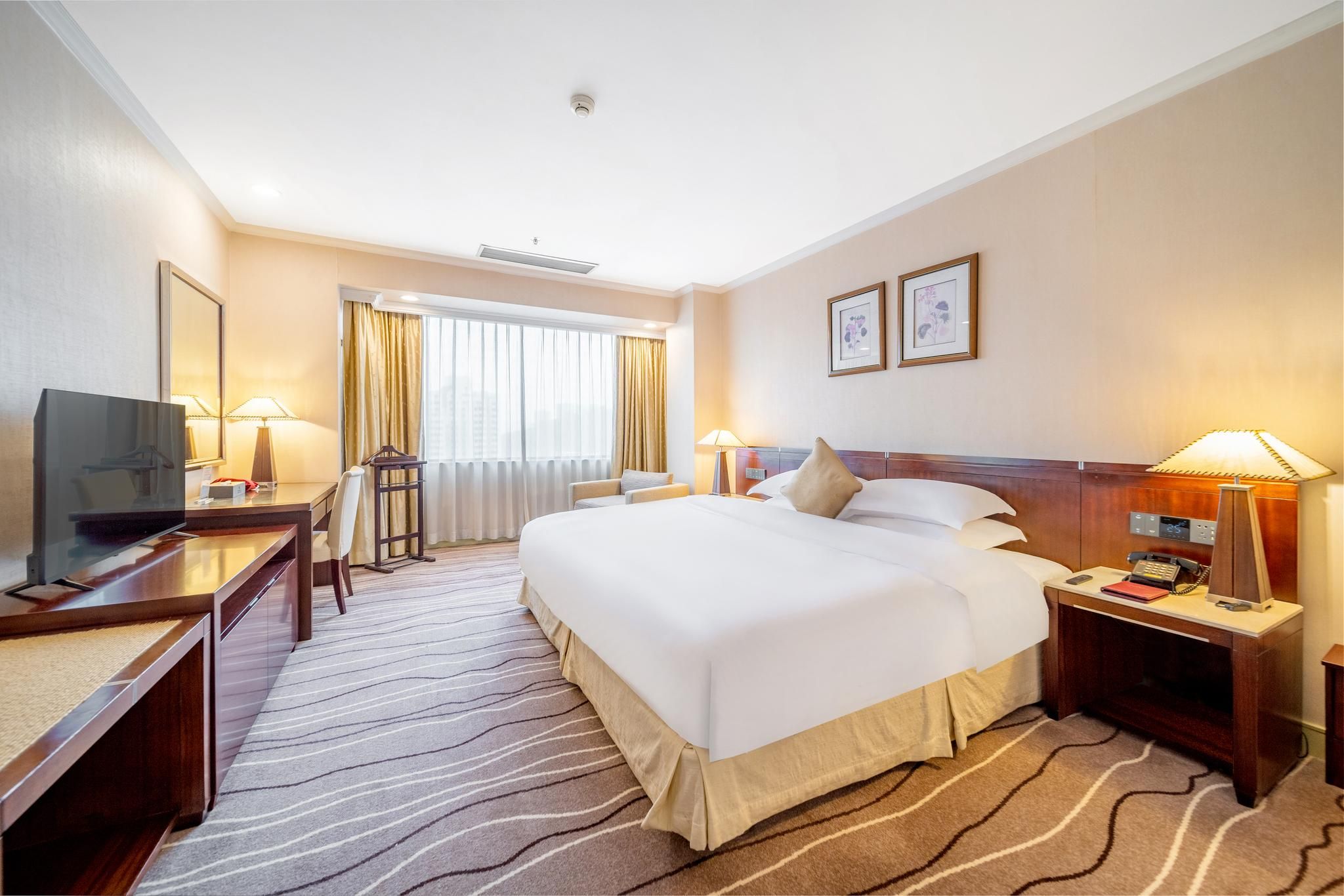 Executive Suite