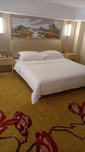 Vienna - Functional Chess Suite Room