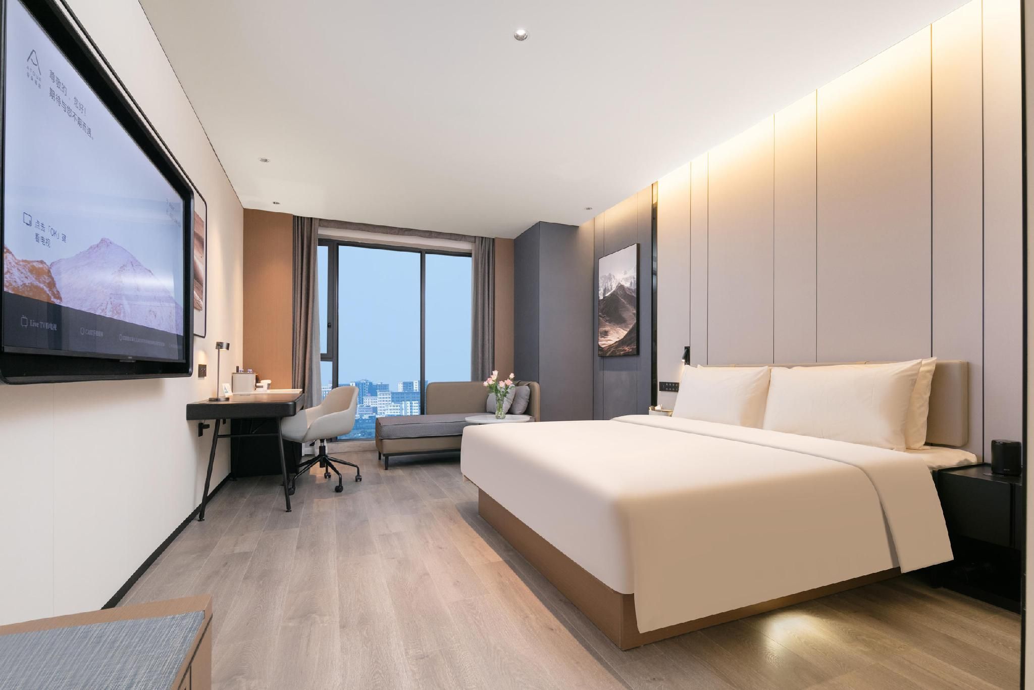 Executive room, Guest room, 1 Queen