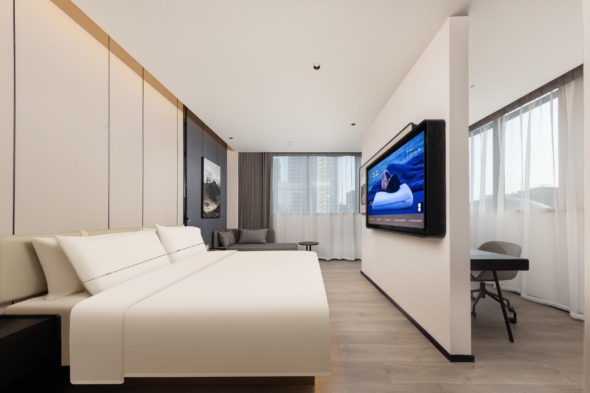 Executive room, Guest room, 1 Queen