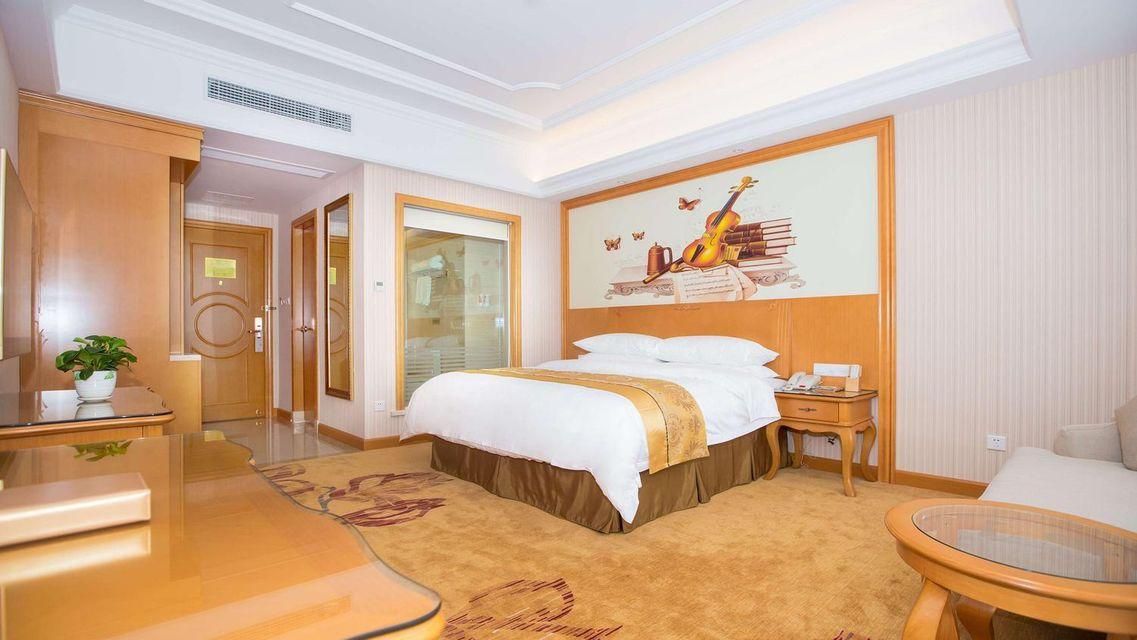 Vienna - Deluxe Room