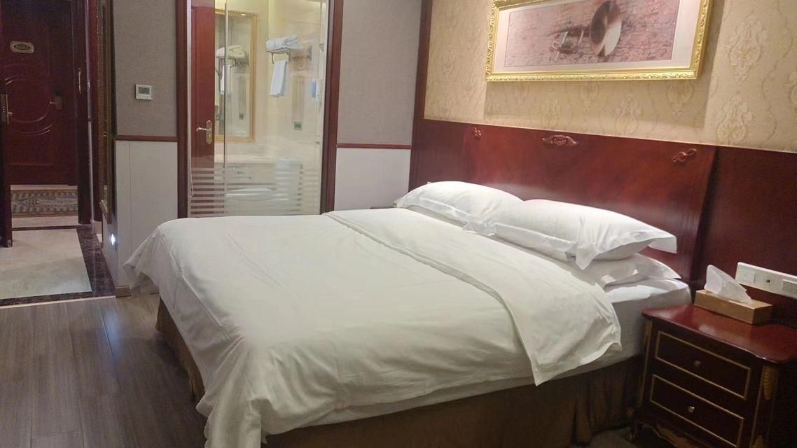 Vienna - Standard Single Room