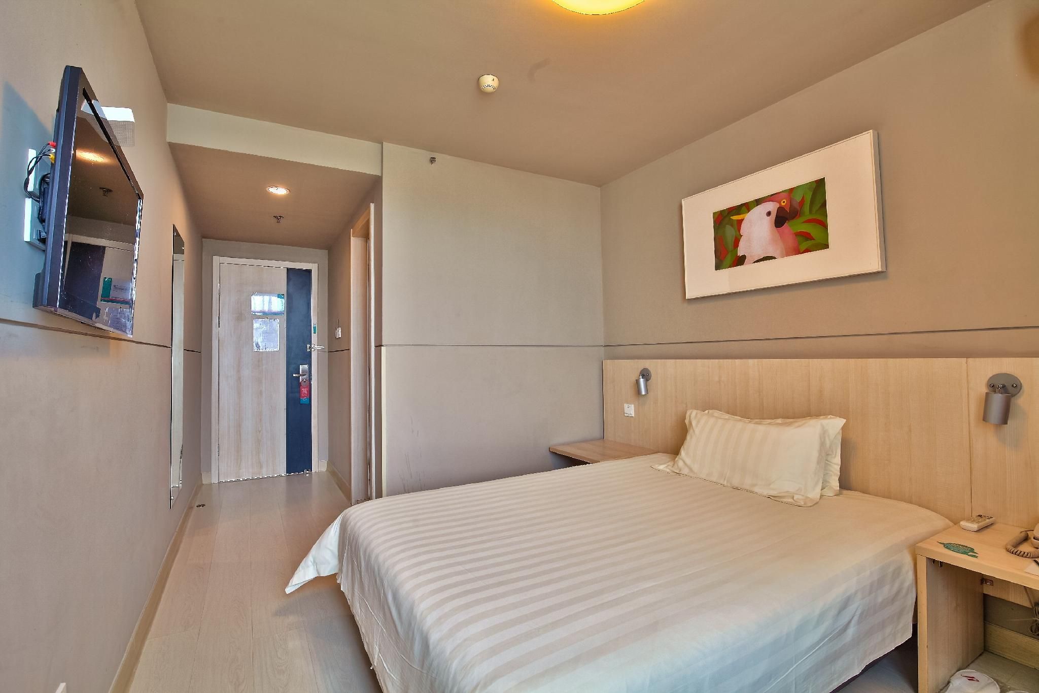 Business Double Room C