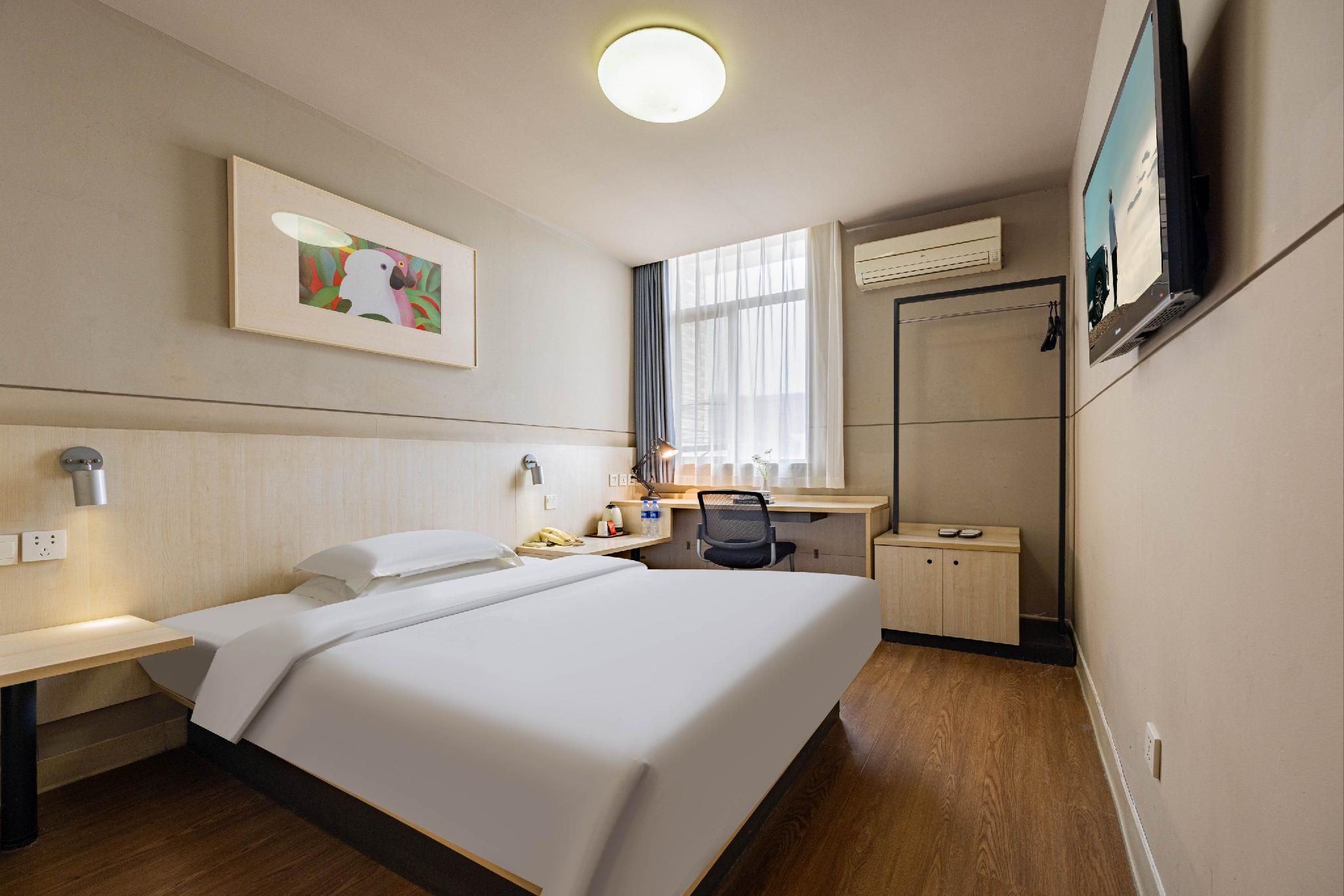 Business Double Room B