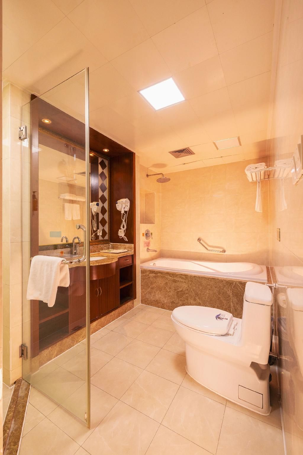 Deluxe Suite Room