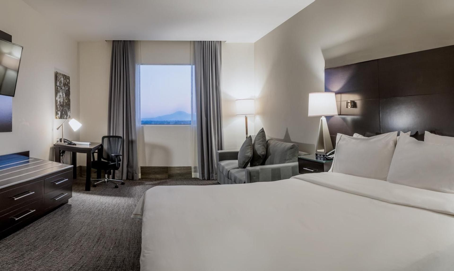 1 King Suite