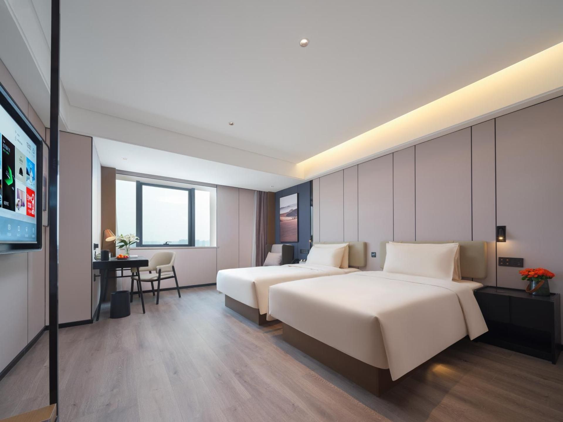 Superior Twin Room With View