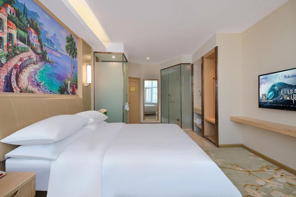 Vienna - Deluxe Room