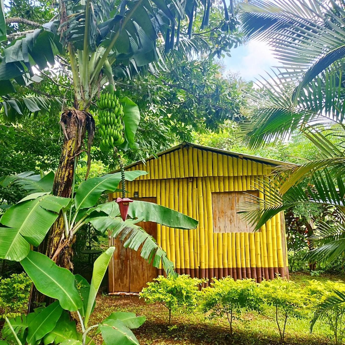 surrounding environment