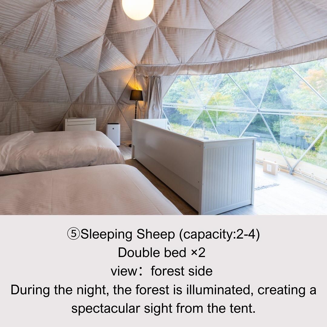 Room 105