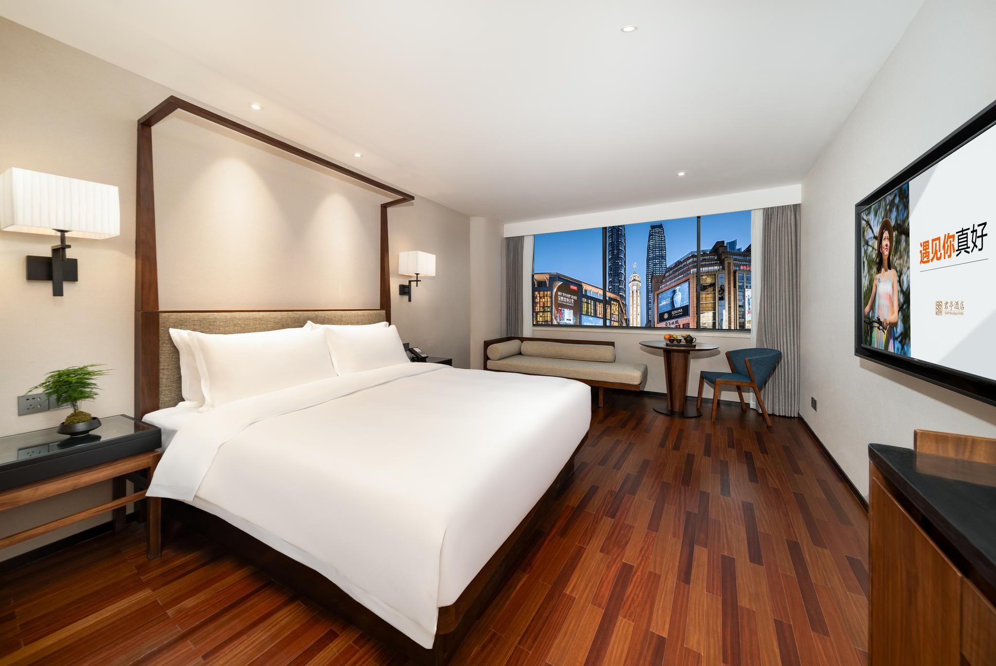 Four Seasons King Bed Room with View