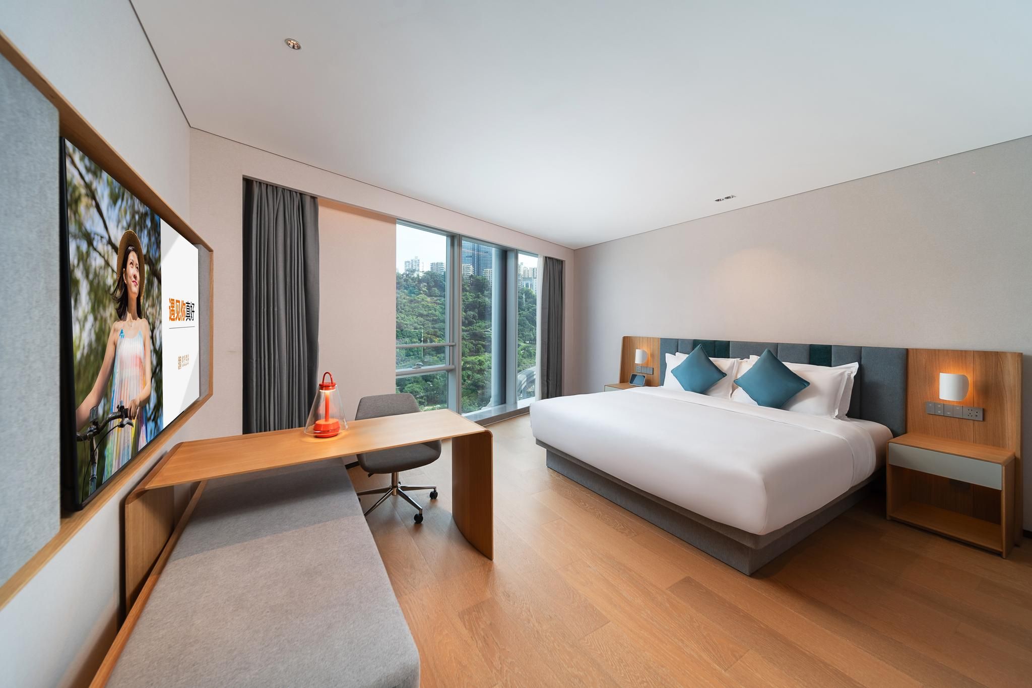 Deluxe 1 Bed Room with Mountain View
