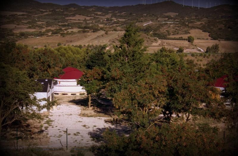 Campo de Reyes