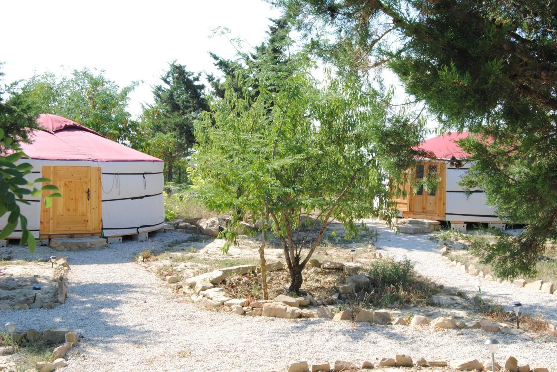 Campo de Reyes