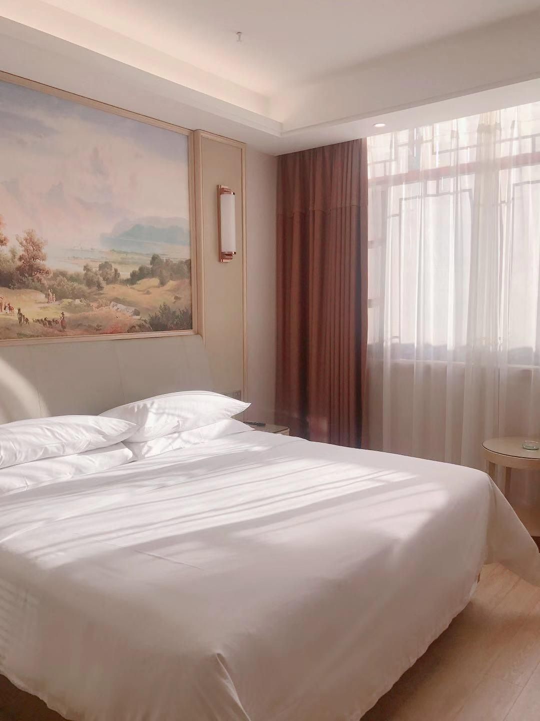 Vienna - Standard 1 Bed Room