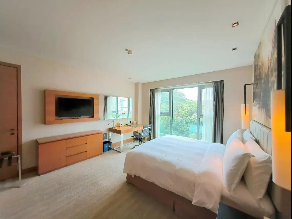 Queen Accessible Room