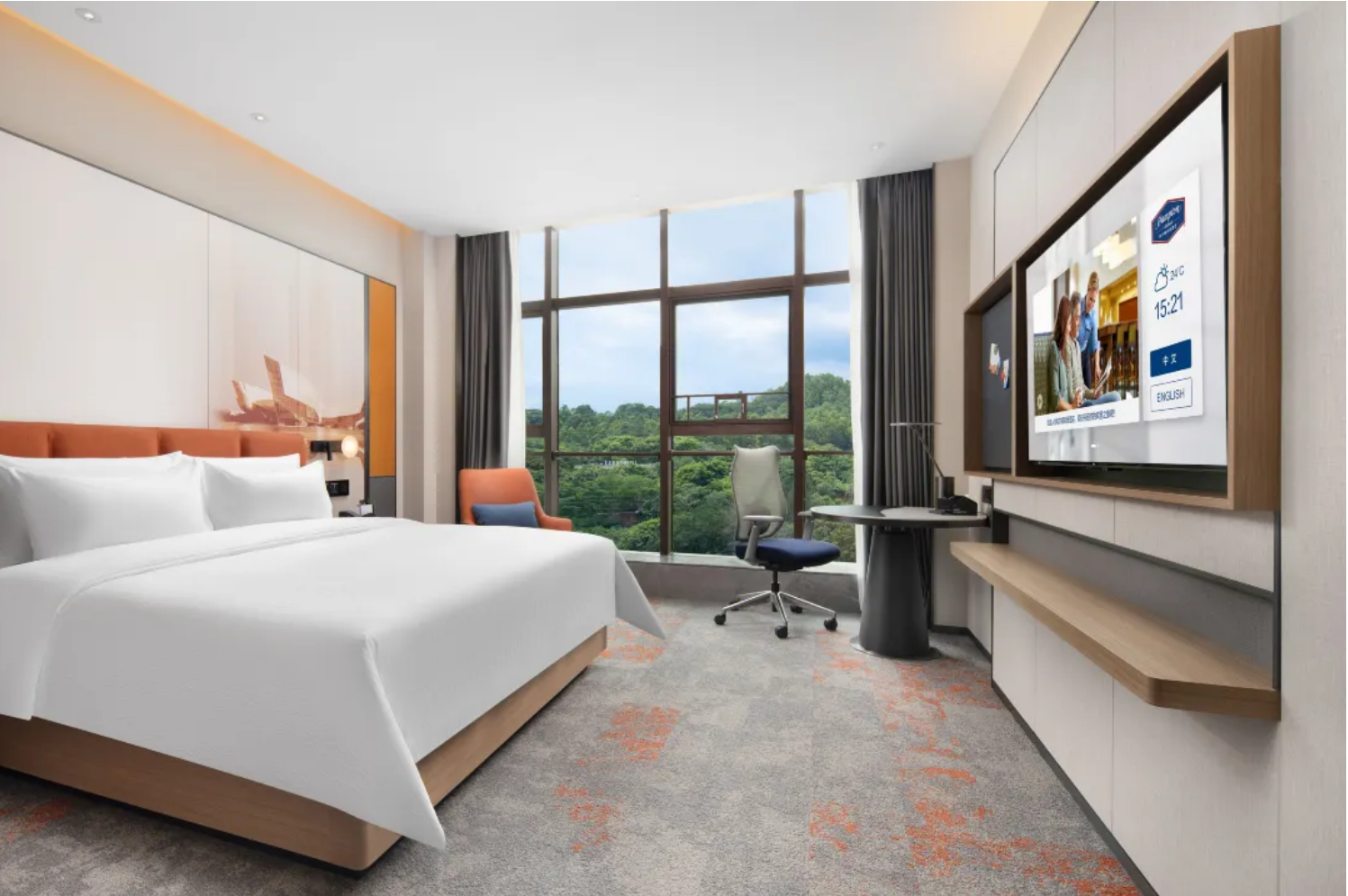Mountain View Queen Room