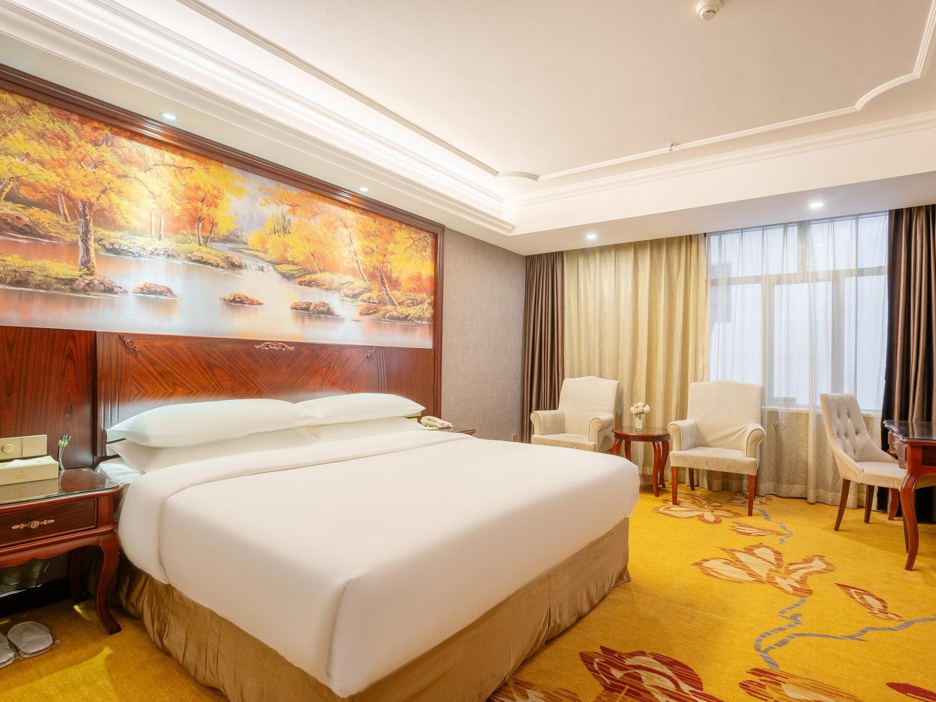 Vienna - Deluxe Room