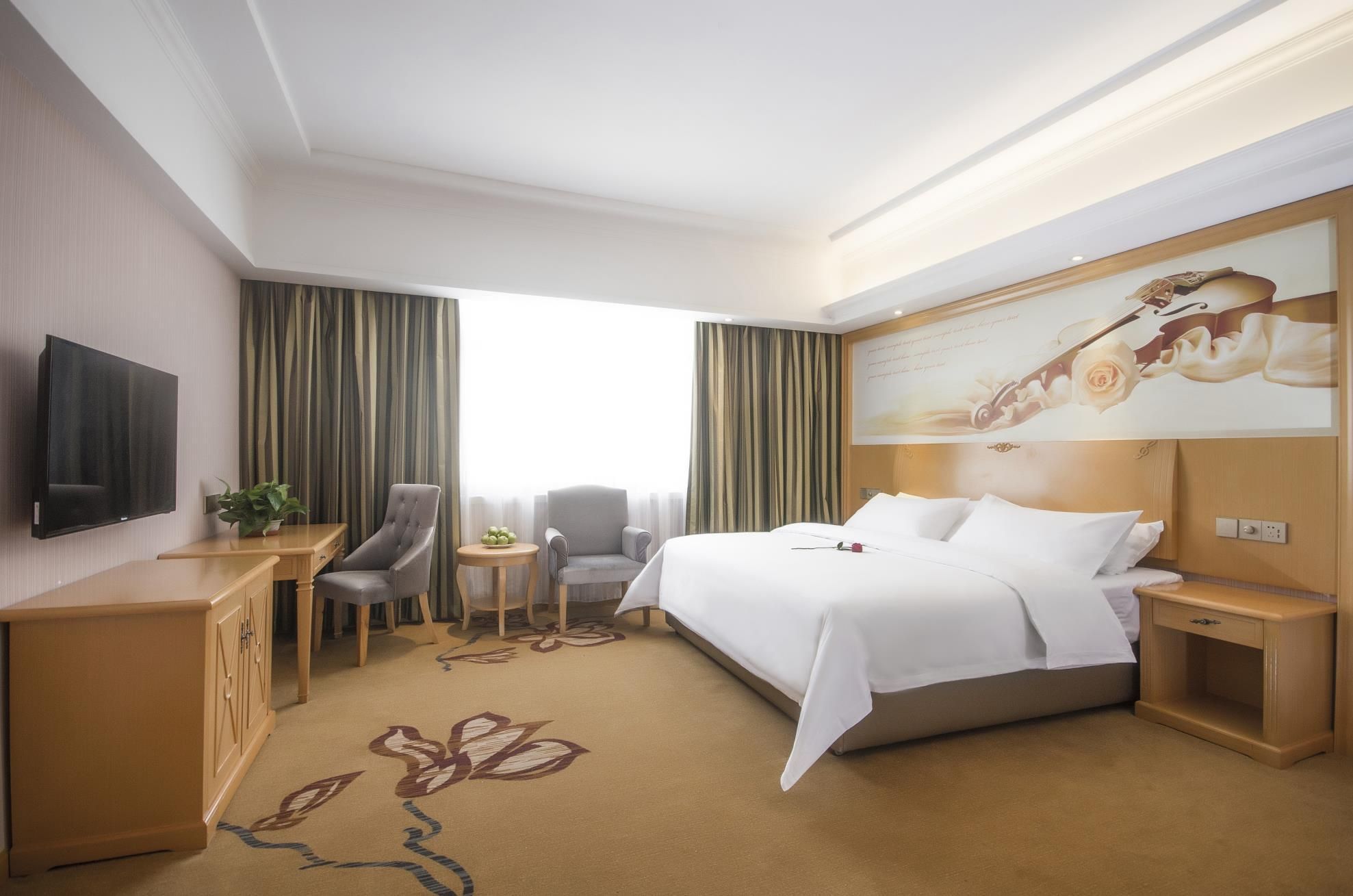 Vienna - Executive 1 Bed Room