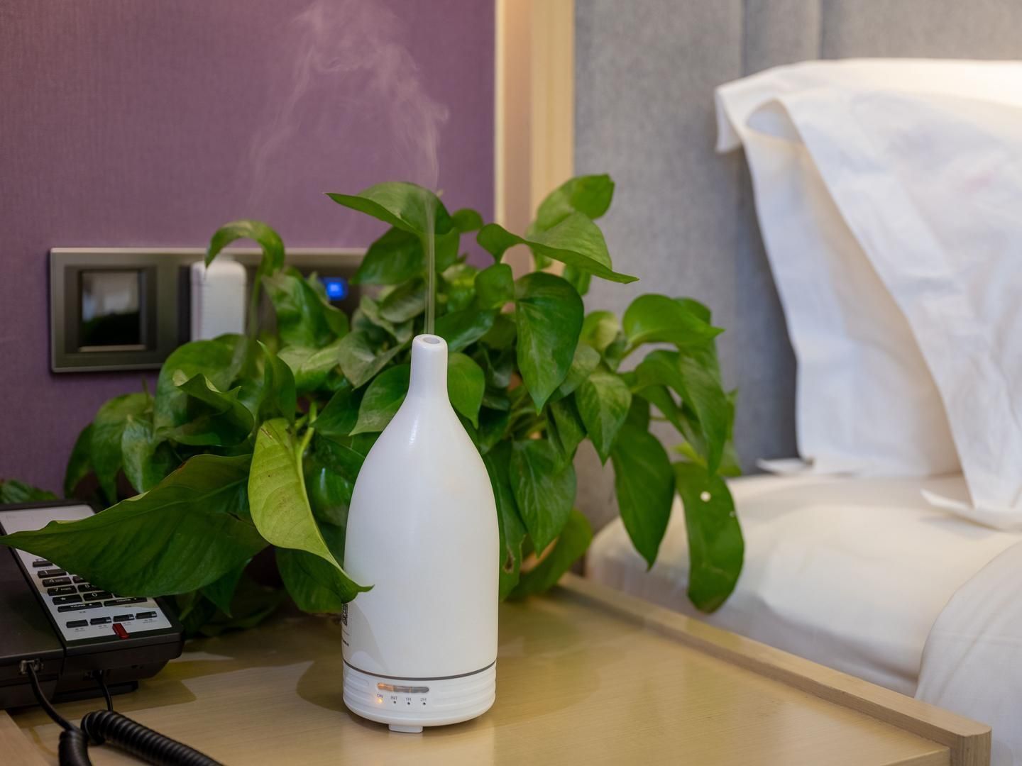 WH - Business 1 Bed Room